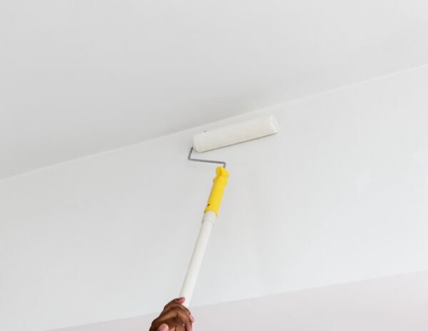 Apartment Ceiling Painting