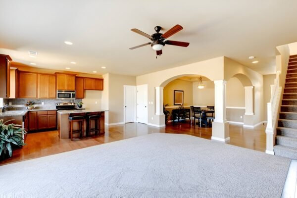Large Carpet Cleaning